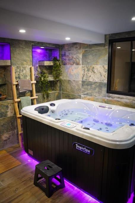 شقة Nuit De La Sagesse "Jacuzzi Terrasse Et Parking Prive" روان المظهر الخارجي الصورة